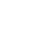 zenzees shirt