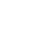zenzees neckties
