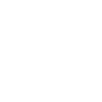 zenzees shoes